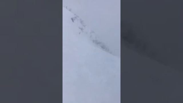 2018.01.09 Роза Хутор. Метель. Мужской Олимпийский спуск смотреть онлайн