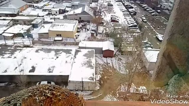 Мнооооого синичек, один подсолнух смотреть онлайн