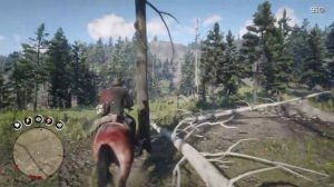 Где найти пуму в rdr2 | Превосходная шкура пумы