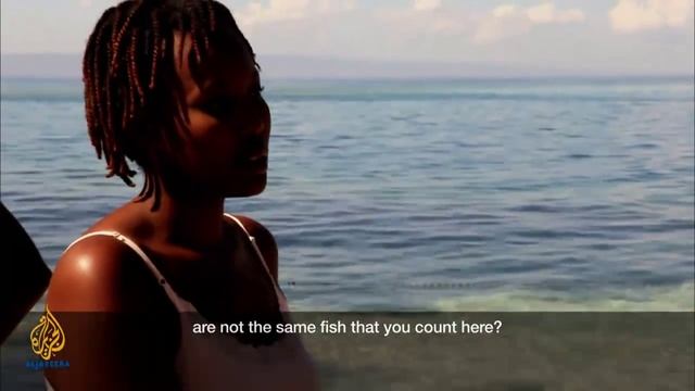 earthrise - Aquaponics & Safeguarding Haiti's Marine Life смотреть онлайн