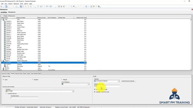 24. Resources Pane and Window in Primavera P6 смотреть онлайн