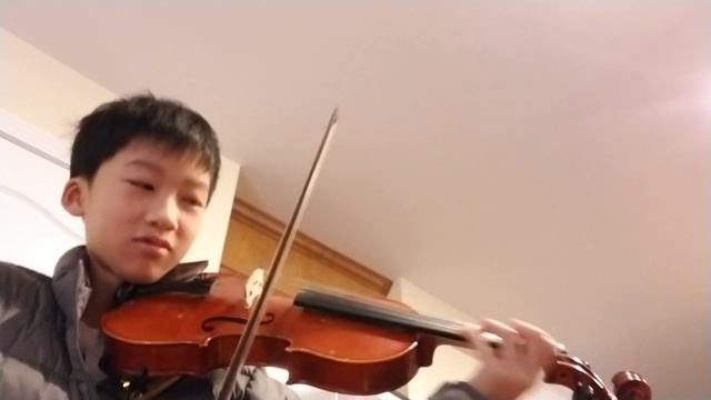 Twosetviolin Flight of the Bumblebee Challenge (1st try) (33 glisses per second) смотреть онлайн