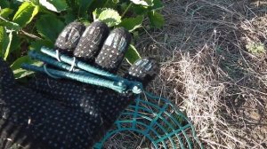 ПОДСТАВКИ ПОД КУСТЫ КЛУБНИКИ  СТОИТ ЛИ ПОКУПАТЬ?  КАКИЕ ПОДСТАВКИ ПОД КЛУБНИКУ  КУПИТЬ