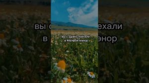 фф т/и и Драко Малфой «та самая любовь«16часть #дракоша #фанфик