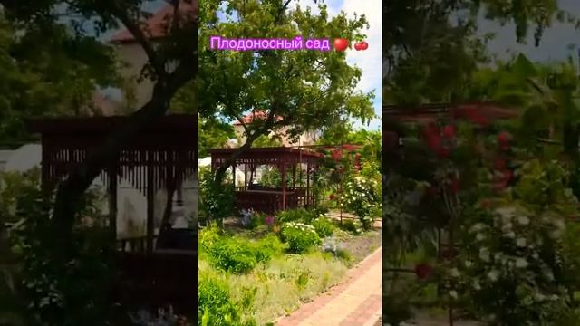 Дом в Анапе в хуторе Красный 25 июня 2021 г