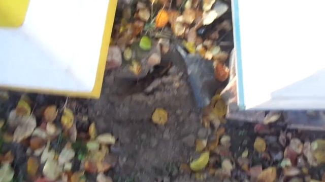 Таблетка против кротов смотреть онлайн