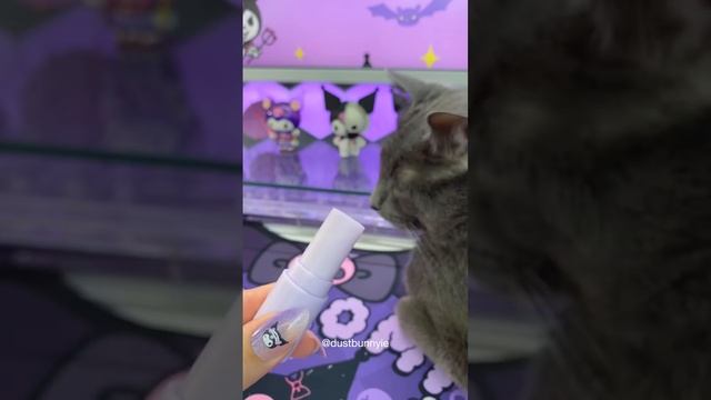 kuromi ? #kuromi #sanrio #asmr #cute #unboxing смотреть онлайн
