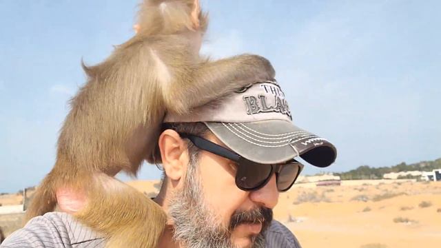 Колдун и его команда!!!🤣🤣🤣 Всем хорошего настроения!!! 28.01.24 смотреть онлайн