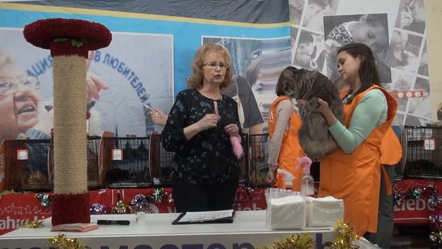 Форест «Рождественские чудеса» - 18 декабря 2016 смотреть онлайн