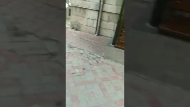Красота Страшная Сила ❤️🔥🔥🔥 смотреть онлайн