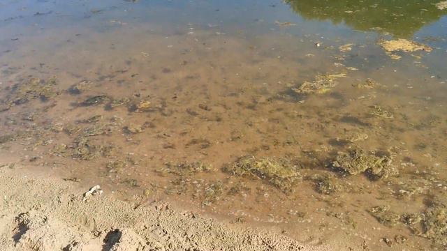 Озерцо в Приморье смотреть онлайн