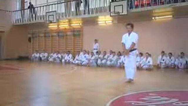 7-ой Европейский Гашуку Okinawa Goju-ru Karate-do Kyokai смотреть онлайн