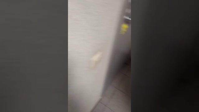 мартовская АНИМЕ ЯРМАРКА в Ставрополе💮 смотреть онлайн