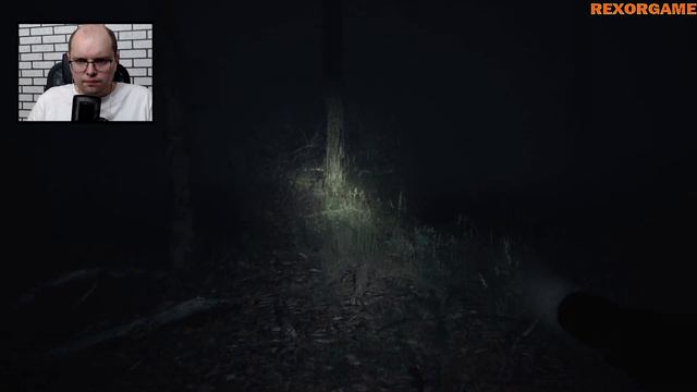 BLAIR WITCH ► СТРИМ ► БУНКЕР И ДЕМОНЫ #2 смотреть онлайн