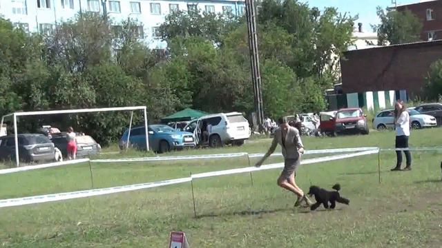 Иркутск Моно 19.07.2015 ПУШИСТЫЙ СОБЛАЗН АМБИЦИЯ смотреть онлайн