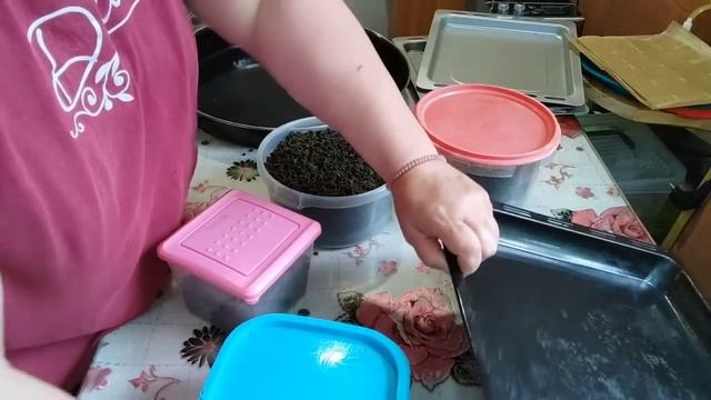 Копорский чай готов. смотреть онлайн