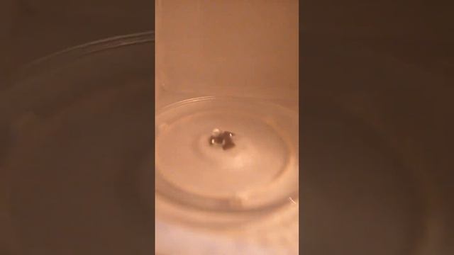 новая микроволновка смотреть онлайн