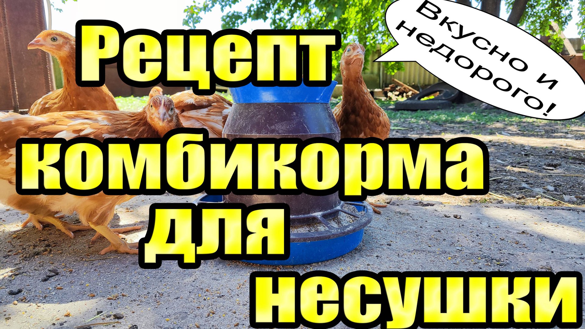 Корм для кур СВОИМИ РУКАМИ! смотреть онлайн