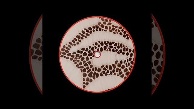 змея смотреть онлайн