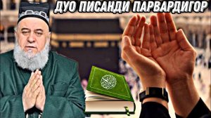 ДУОИ ПИСАНДИ ПАРВАРДИГОР - ХОЧИ МИРЗО 2022