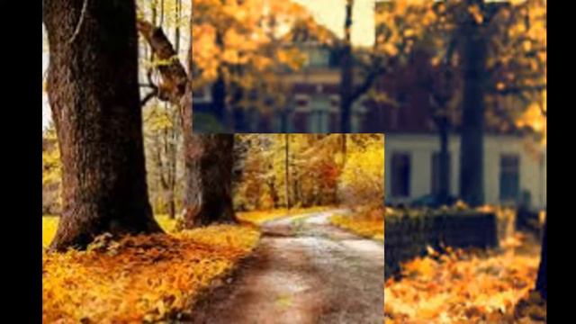 Осенний город.. смотреть онлайн