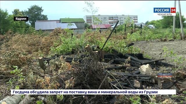 Почему многодетным семьям выделили участки, захламленные старыми постройками, пришлось разбираться смотреть онлайн