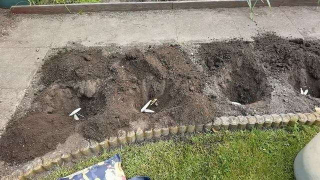 ПОРА ВЫСАДИТЬ РАССАДУ! АЛЛИУМ! СЛУЧИЛОСЬ НЕ ПОПРАВИМОЕ! | #928 смотреть онлайн