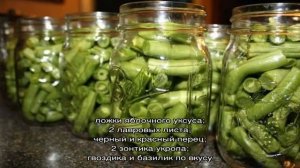 Топ-10 лучших рецептов маринованной фасоли: делаем вкусные заготовки на зиму своими руками