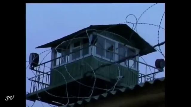 Андрей Таныч Воспитала улица меня смотреть онлайн