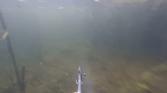 под водой на малых реках Урала смотреть онлайн
