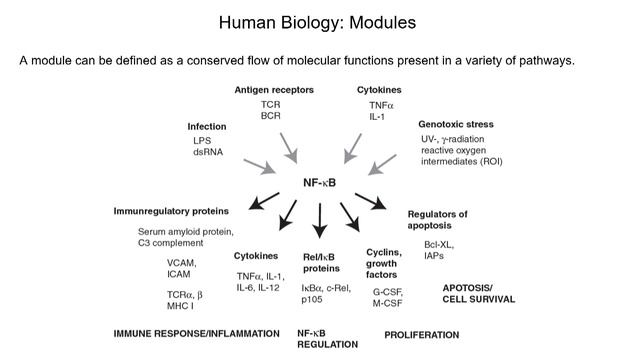 Patrick Masson - Gene Ontology Causal Activity Models (GO-CAMs) for human biology смотреть онлайн