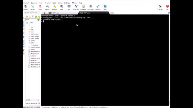 Apache Sqoop - Running Incremental Import using Append mode смотреть онлайн