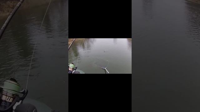 Дело было поздней осенью смотреть онлайн