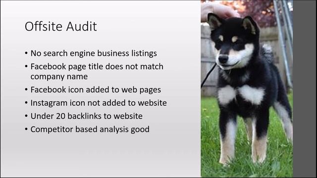 Partner SEO Audit Kokuryuu Shibas смотреть онлайн