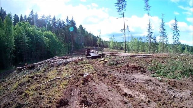 ТДТ-55 Лесной МОНСТР. Как это работает. смотреть онлайн