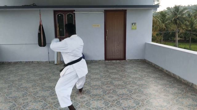 Sai Shotokan Karate Kata 16 Gankaku Salem SANKARAN смотреть онлайн