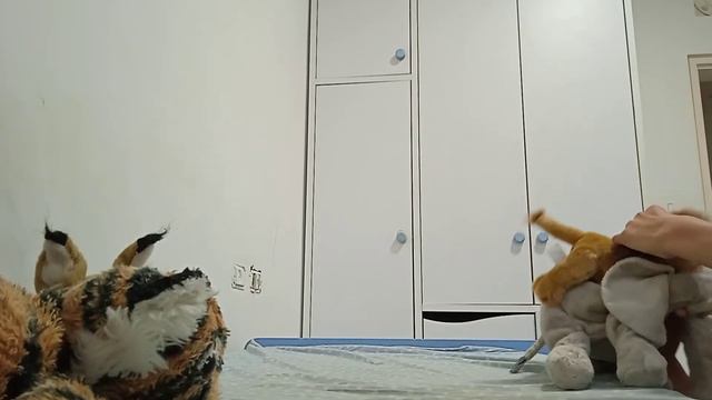 how Tiger 's lion's and caracal's (big cat's ) hunt their prey смотреть онлайн