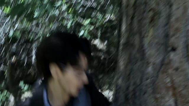 Harry Potter Friday Parody by The Hillywood Show® смотреть онлайн