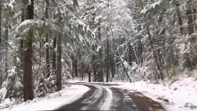 Driving in the snow in the Gifford Pinchot National Forest. 12-2-2022 смотреть онлайн