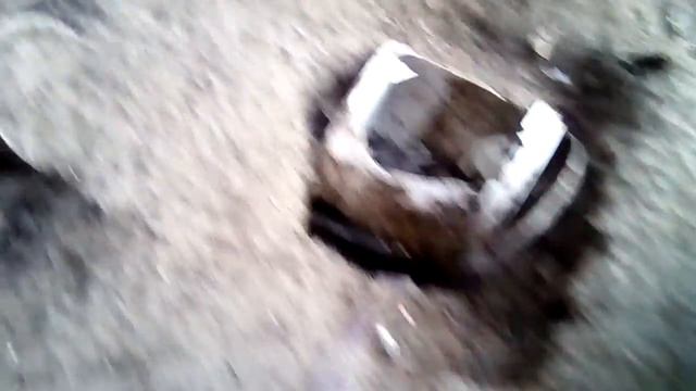 Нам надо спасти щенков потом Скоро они умрут только вы можете спасти их жизни смотреть онлайн