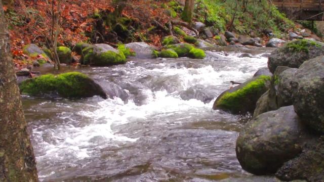 LITHIA PARK ASHLAND, OREGON by Jon Galfano смотреть онлайн