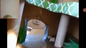 Передать из картона тонет