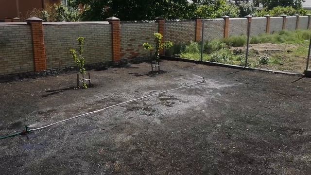 ПОКУПКИ SINSAY ? ЛІТНІЙ ВІНОК ? ВИВОДЖУ ПЛЯМИ / СИСТЕМА ПОЛИВУ / ЧИСТА КУХНЯ смотреть онлайн