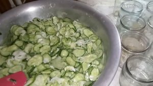Салат из огурцов в собственном соку ХРУСТЯЩИЕ Очень вкусный салат на зиму