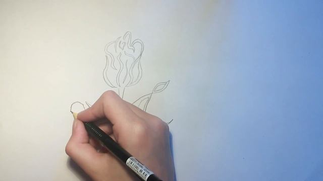 Как нарисовать тюльпан. смотреть онлайн