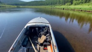 Казанка с булями+Плм болотоход 15лс