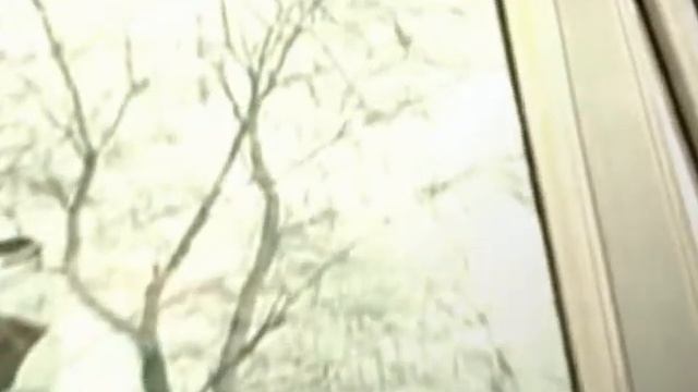 БОРОДАТАЯ НЕЯСЫТЬ-СОВА смотреть онлайн