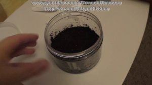 ПОСЕВ Хризантемы корейской, (ч.1) МАРТ 2016г.