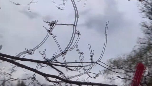 Спасибо за сына... смотреть онлайн