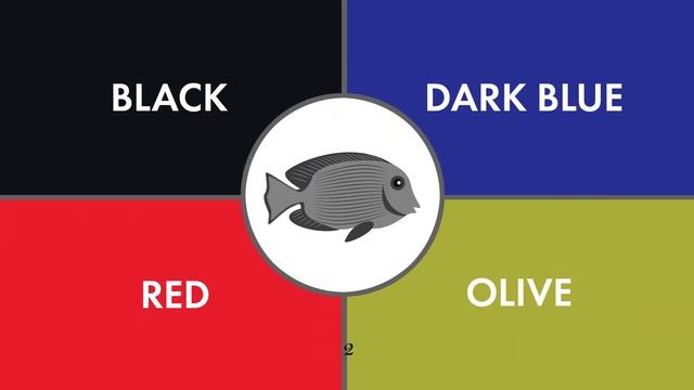 Guess The Color Game | Color Game смотреть онлайн